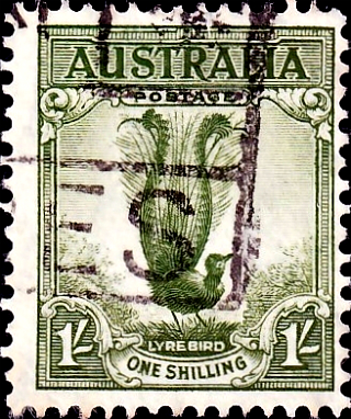 Австралия 1941 год . Фауна , Лирохвост . 